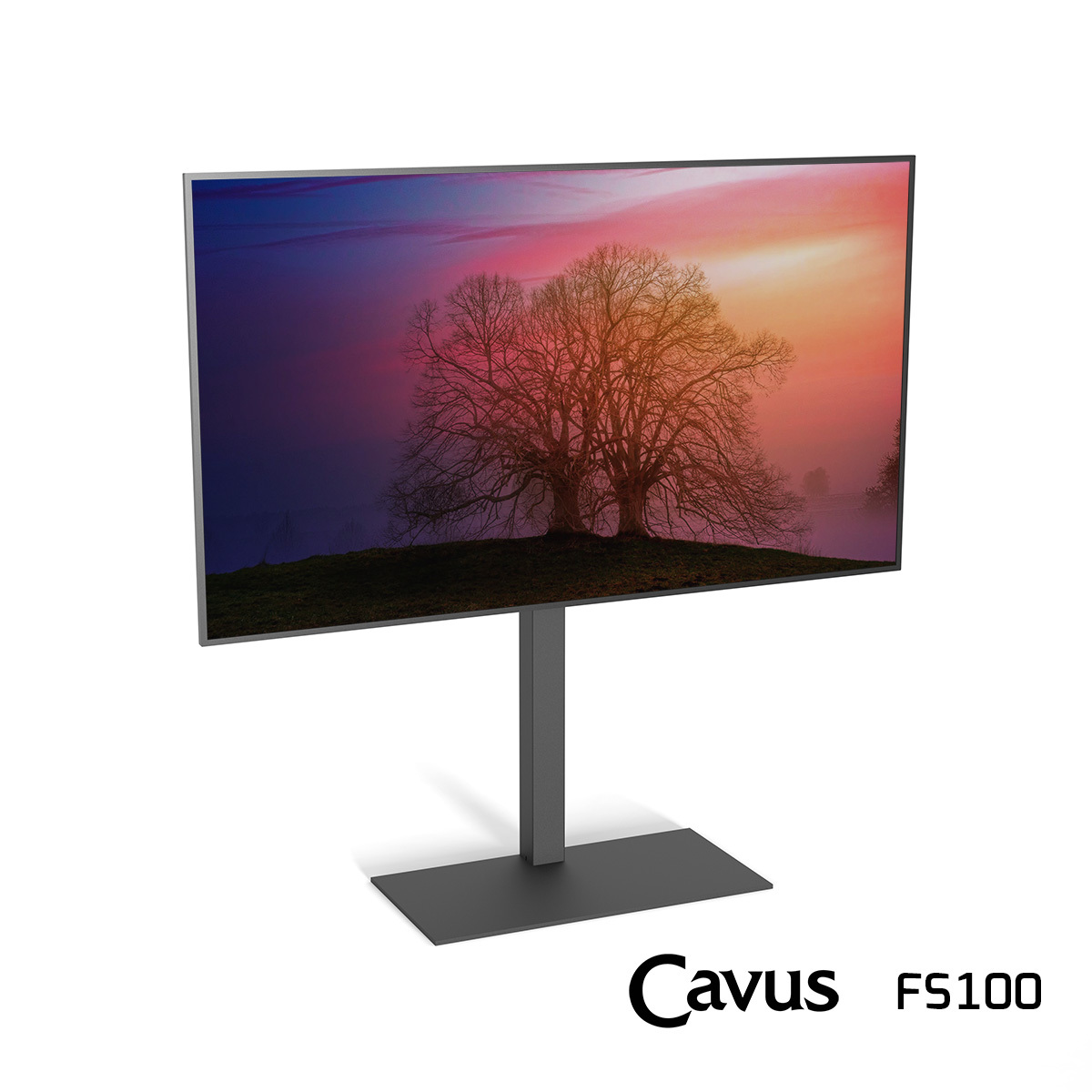Draaibare TV Vloerstandaard FS100 Basic (37-65'')