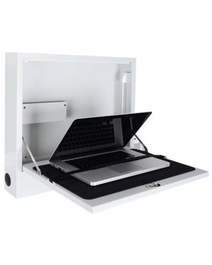 Public Computer Security Cabinet II